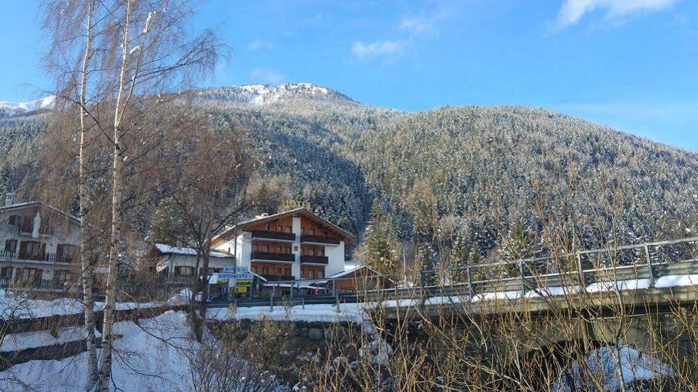 Des Alpes Hotel 3*